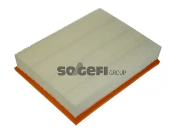 Air Filter (CA10228)