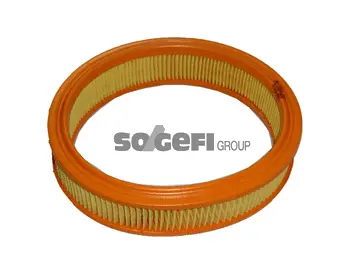 Air Filter (CA3121)