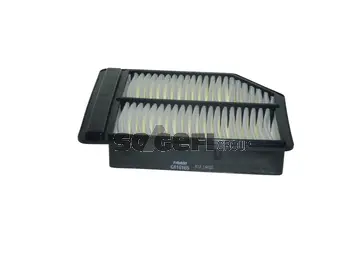 Air Filter (CA10165)