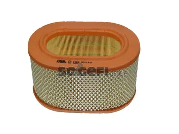 Air Filter (CA4369)