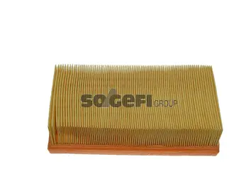 Air Filter (CA5613)