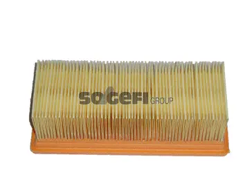 Air Filter (CA9411)
