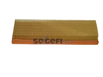 Air Filter (CA9313)