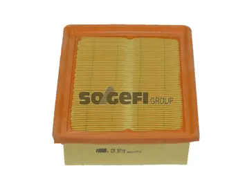 Air Filter (CA9719)