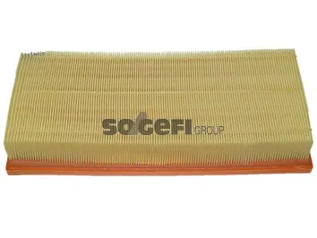 Air Filter (CA10236)