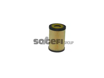 Oil Filter (CH11675ECO)