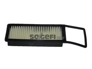 Air Filter (CA9945)