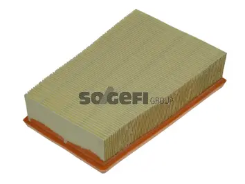 Air Filter (CA10654)