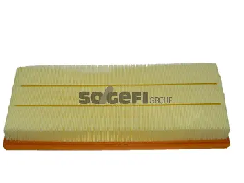 Air Filter (CA10051)
