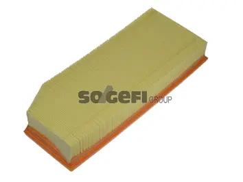 Air Filter (CA9041)