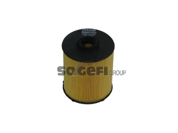 Fuel Filter (C8981ECO)