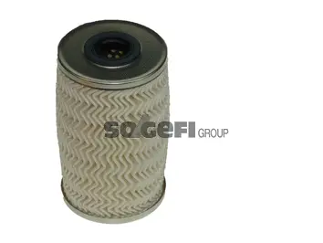 Fuel Filter (C9817ECO)