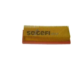 Air Filter (CA4598)