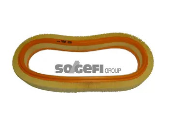 Air Filter (CA7245)