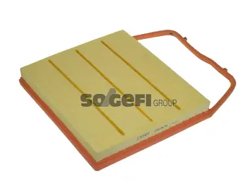 Air Filter (CA10676)