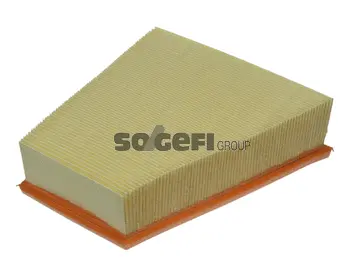 Air Filter (CA9431)