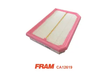 Air Filter (CA12619)