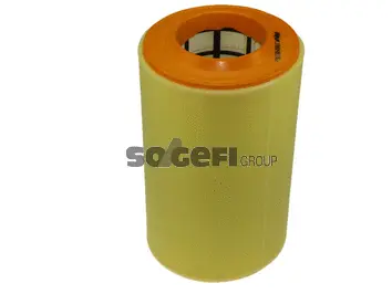 Air Filter (CA10415)
