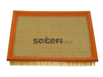 Air Filter (CA9646)