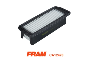 Air Filter (CA12470)