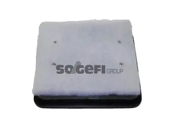 Air Filter (CA10355)