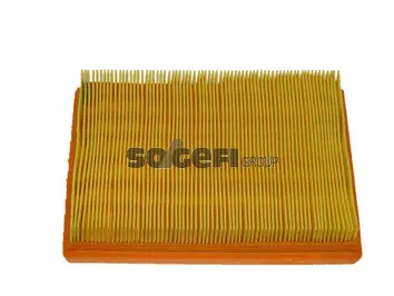 Air Filter (CA8674)