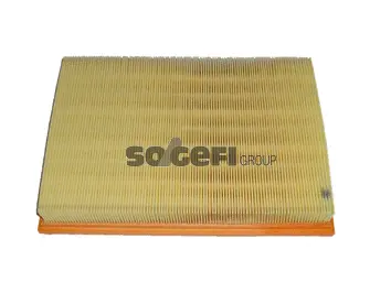 Air Filter (CA9391)