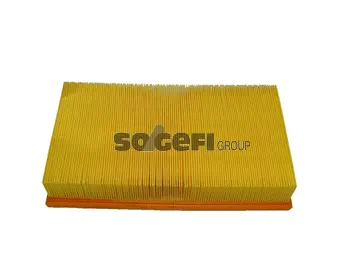 Air Filter (CA5782)
