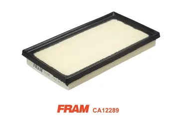 Air Filter (CA12289)