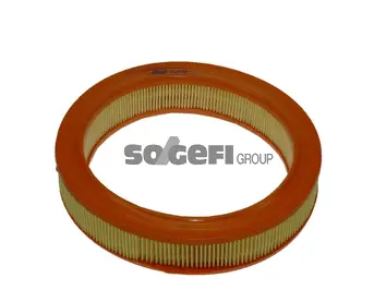 Air Filter (CA4739)
