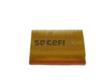 Air Filter (CA5205)