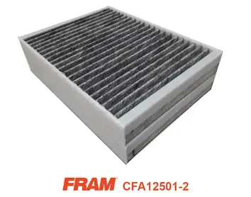 Filter, cabin air (CFA12501-2)