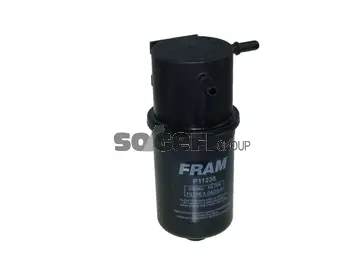 Fuel Filter (P11238)