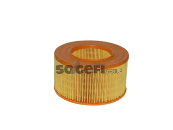 Air Filter (CA4306)