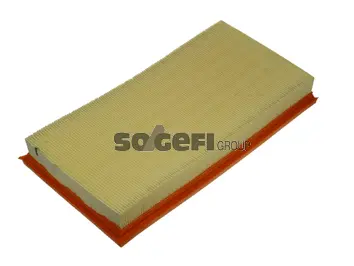 Air Filter (CA5827)