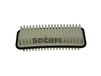 Air Filter (CA9812)