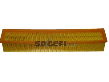 Air Filter (CA9544)