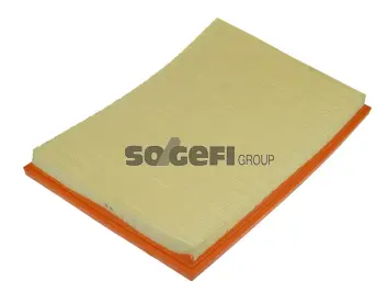 Air Filter (CA10675)