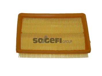 Air Filter (CA8766)