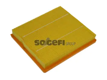 Air Filter (CA10685)