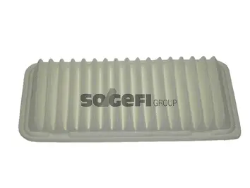 Air Filter (CA10495)