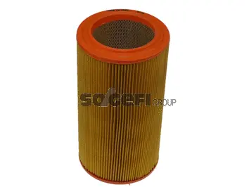 Air Filter (CA3943)