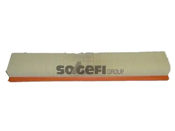 Air Filter (CA9423)