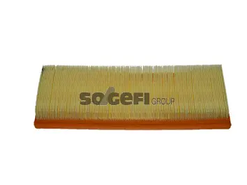 Air Filter (CA3373)
