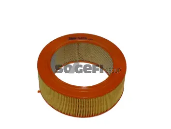 Air Filter (CA652PL)