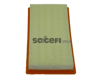 Air Filter (CA10622)
