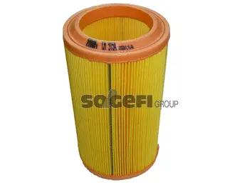 Air Filter (CA3154)