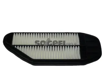 Air Filter (CA11071)