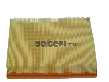 Air Filter (CA10445)