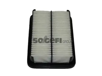 Air Filter (CA5125)
